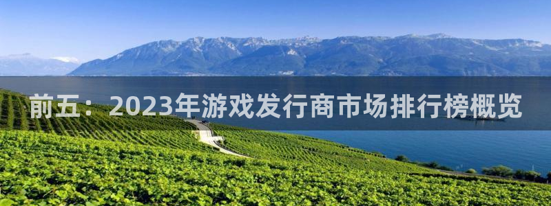 杏耀官网注册地址查询：前五：2023年游戏发行商市场排行榜概览