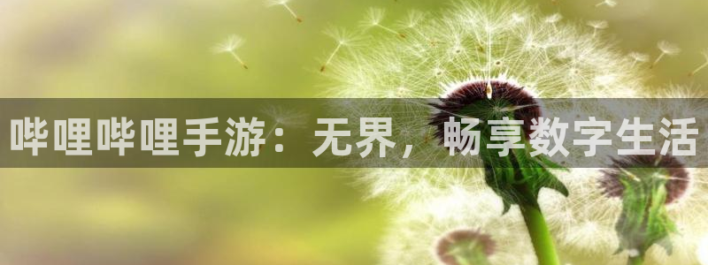 杏耀官网平台合法吗：哔哩哔哩手游：无界，畅享数字生活