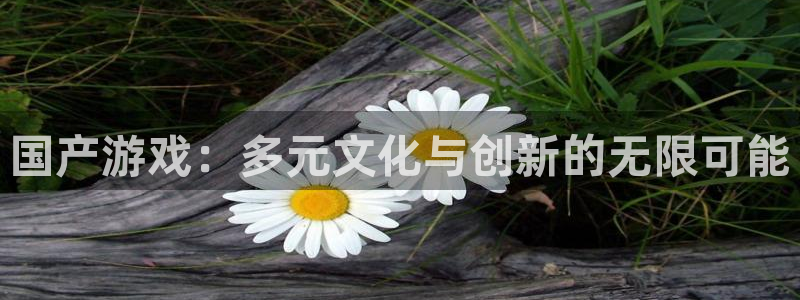 杏耀球队：国产游戏：多元文化与创新的无限可能
