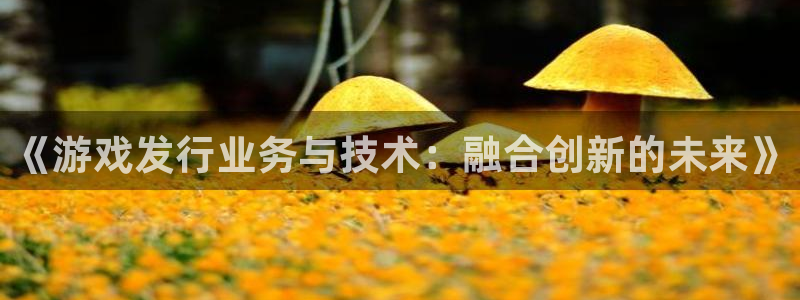 杏耀服装品牌怎么样：《游戏发行业务与技术：融合创新的未来》