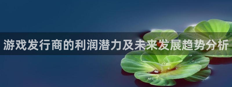 杏耀啤酒怎么样：游戏发行商的利润潜力及未来发展趋势分析