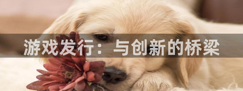杏耀环境