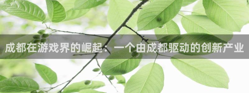 杏耀官网平台招商qq：成都在游戏界的崛起：一个由成都驱动的创新产业