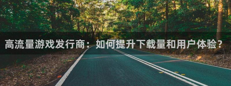 杏耀科技股票：高流量游戏发行商：如何提升下载量和用户体验？