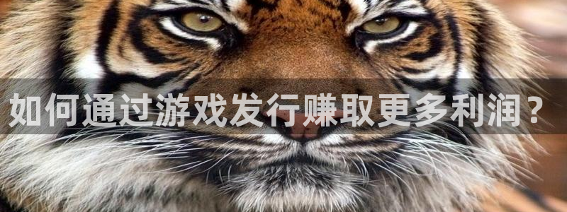 杏耀官网平台合法吗：如何通过游戏发行赚取更多利润？