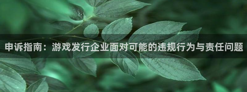 杏耀集团是什么企业
