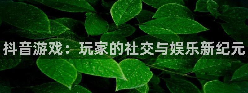杏耀子文化游戏：抖音游戏：玩家的社交与娱乐新纪元
