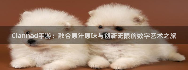 杏耀lvnces官网