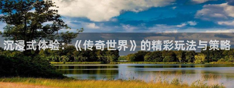 杏耀子书店：沉浸式体验：《传奇世界》的精彩玩法与策略