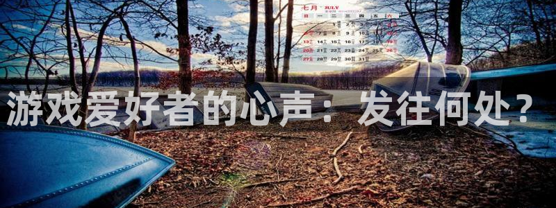 杏耀子的图片：游戏爱好者的心声：发往何处？