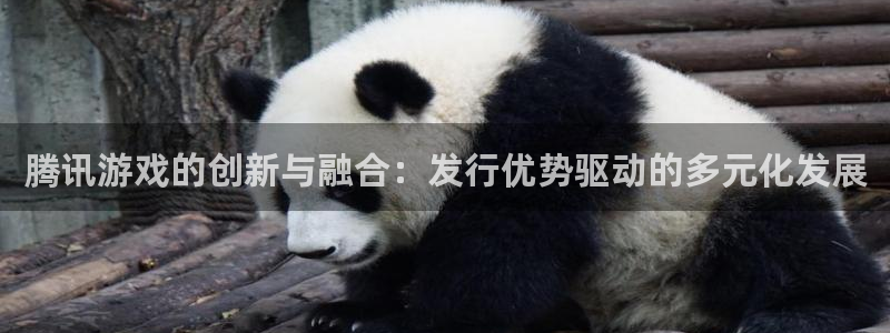 杏耀龙：腾讯游戏的创新与融合：发行优势驱动的多元化发展