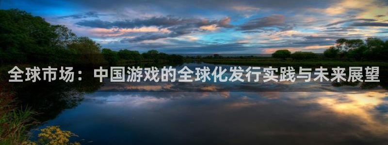 杏耀子图片：全球市场：中国游戏的全球化发行实践与未来展望