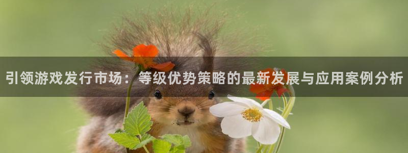 江苏杏耀智得：引领游戏发行市场：等级优势策略的最新发展与应用案例分析